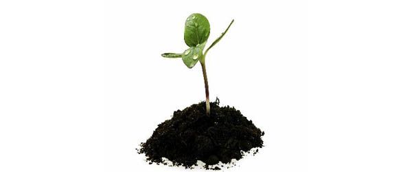How to Start Your Own Business – For Dummies. Part 1