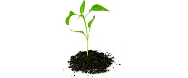 How to Start Your Own Business – For Dummies. Part 2