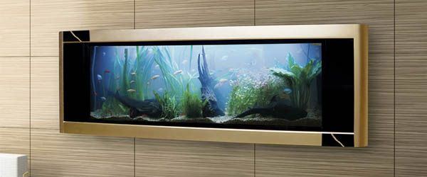 Top Aquarium -Priced at $4.8 Million